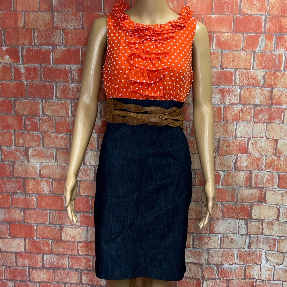 AGB Ruffle Neck Swiss Dot Dress